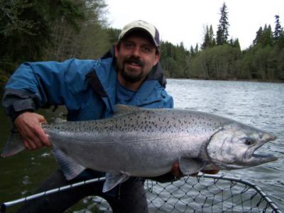 The photo of the week shows an extremely bright Chinook (King) Salmon landed and released (after a kiss) on the Kalum River on May 17th by Robert Pratt of Kamloops.  We think it weighed around 25-30 pounds.  In addition to this photo check out the video c
